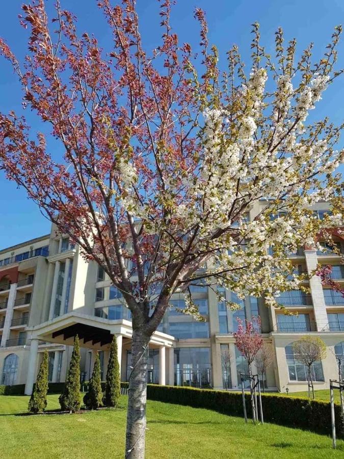 Lighthouse 3 Bedrooms Villa F36 Balchik Eksteriør billede